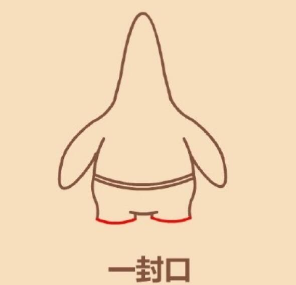 怎么画派大星涂色 简笔画派大星图解步骤步骤2