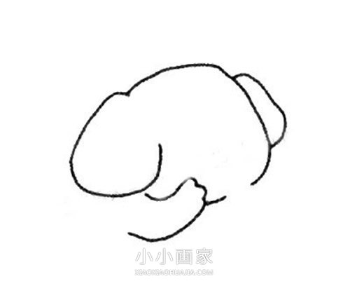 害羞的卡通小象简笔画画法图片步骤步骤3