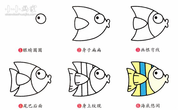 彩色热带小鱼简笔画画法图片步骤步骤2