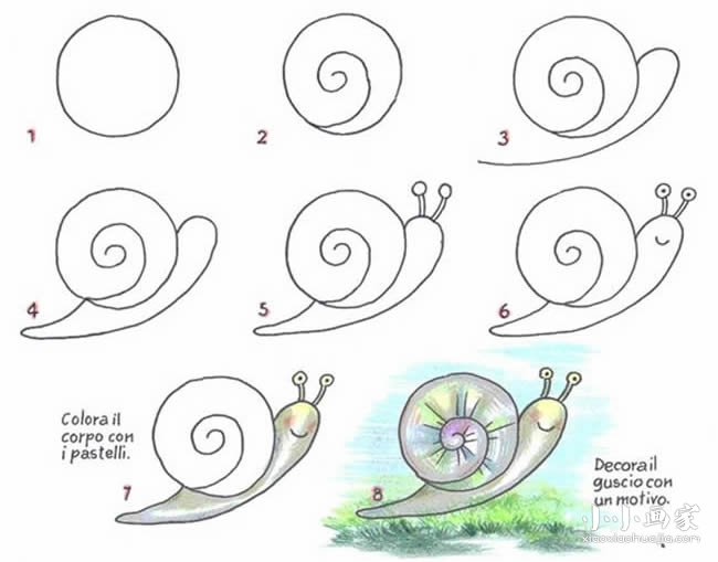 绘本故事草地上爬的蜗牛简笔画画法图片步骤