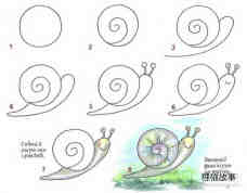 草地上爬的蜗牛简笔画画法图片步骤步骤1