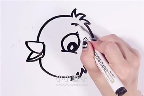 可爱小鸟简笔画画法图片步骤步骤4