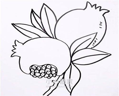 绘本故事树上的石榴简笔画画法图片步骤