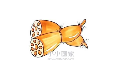 两个莲藕简笔画画法图片步骤