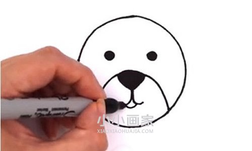 彩色小狮子简笔画画法图片步骤步骤3