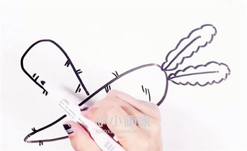 两根胡萝卜简笔画画法图片步骤步骤6