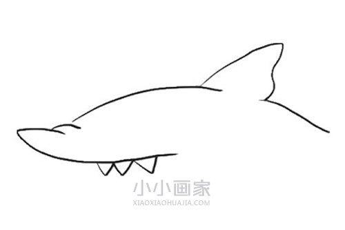 可怕的鲨鱼简笔画画法图片步骤步骤3