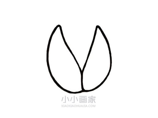 卡通开心果简笔画画法图片步骤步骤3