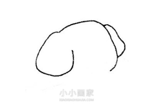 害羞的卡通小象简笔画画法图片步骤步骤2