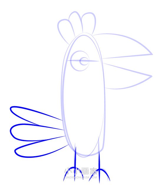 鹦鹉波利简笔画画法图片步骤步骤5