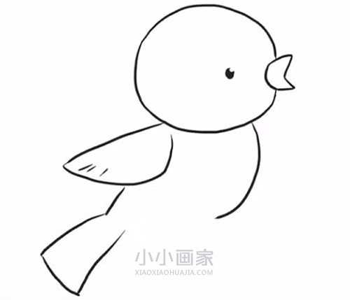 停在电线上的小鸟简笔画画法图片步骤步骤5