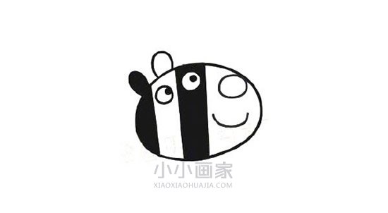 彩色斑马左伊简笔画画法图片步骤步骤5