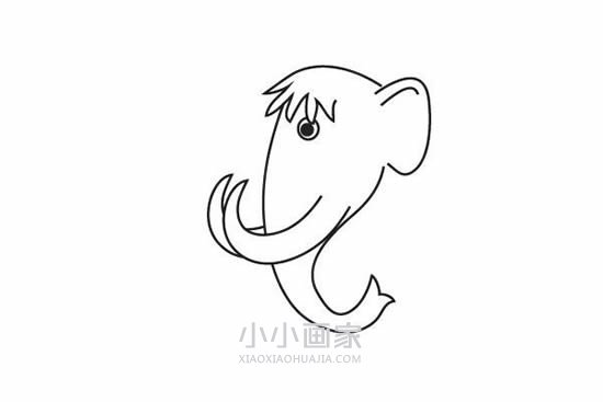 猛犸象简笔画画法图片步骤步骤4