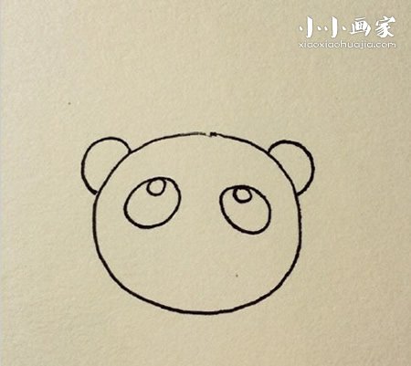 卡通小熊猫简笔画画法图片步骤步骤3