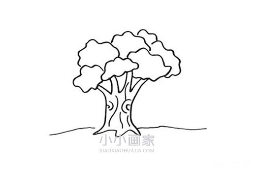 春天大树简笔画画法图片步骤步骤5