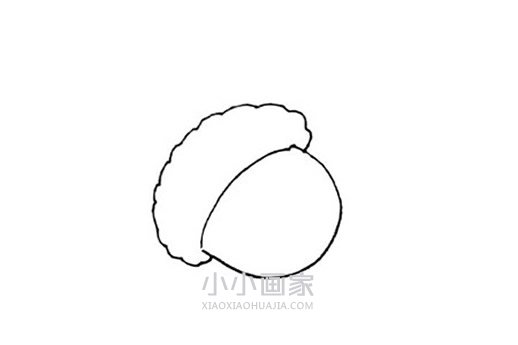 彩色橡果简笔画画法图片步骤步骤3