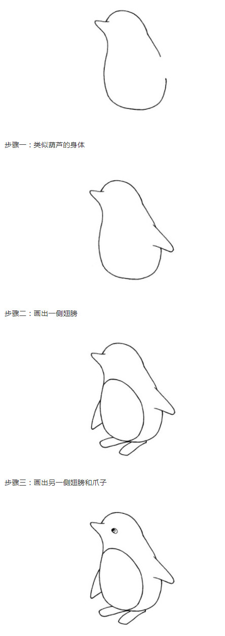 绘本故事简单小企鹅的画法步骤 企鹅简笔画图片