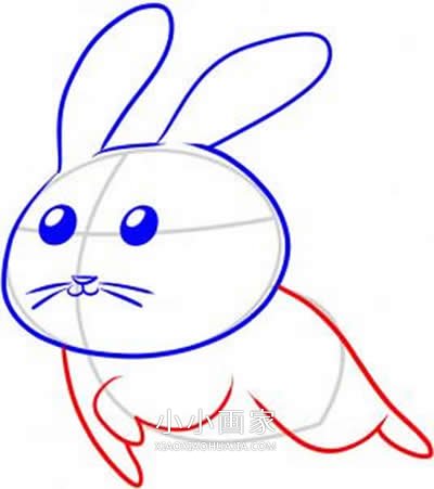 跳跃的兔子简笔画画法图片步骤步骤5