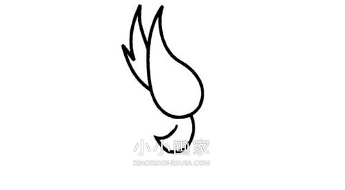 简单鹦鹉简笔画画法图片步骤步骤2