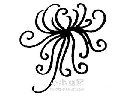 重阳节菊花简笔画画法图片步骤步骤6