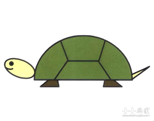 乌龟简笔画画法图片步骤步骤1