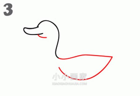 水中游的鸭子简笔画画法图片步骤步骤3