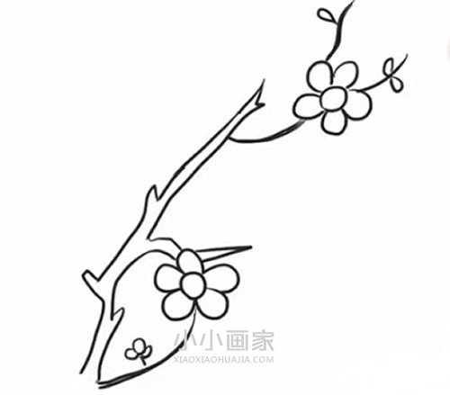 简单梅花简笔画画法图片步骤步骤4