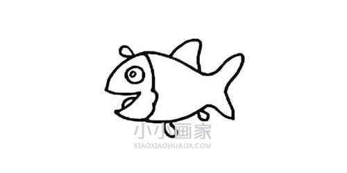 快乐的小鱼简笔画画法图片步骤步骤5