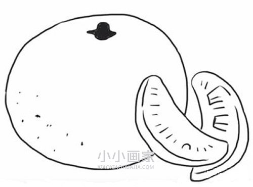 黑白橘子简笔画画法图片步骤步骤1