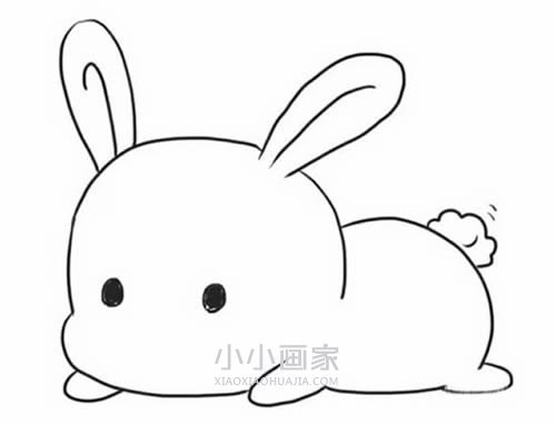 趴地上的可爱兔子简笔画画法图片步骤步骤6