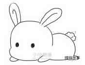 趴地上的可爱兔子简笔画画法图片步骤步骤6