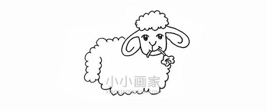 叼花的小绵羊简笔画画法图片步骤步骤5