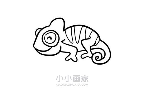 可爱彩色变色龙简笔画画法图片步骤步骤5