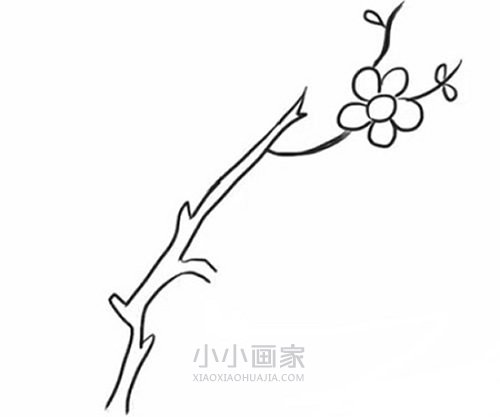 简单梅花简笔画画法图片步骤步骤3