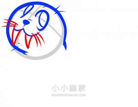 可爱小海象简笔画画法图片步骤步骤5
