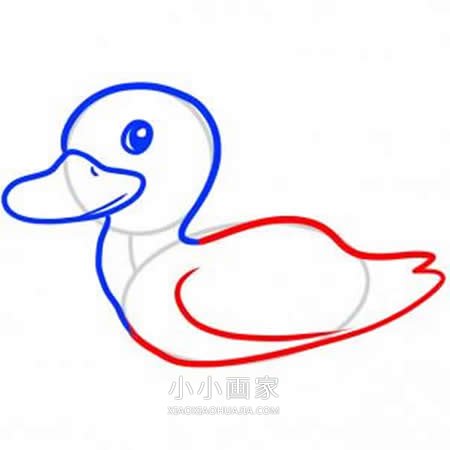 简单鸭子简笔画画法图片步骤步骤5