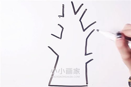 植树节大树简笔画画法图片步骤步骤3