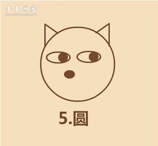 彩色秋田犬简笔画画法图片步骤步骤5