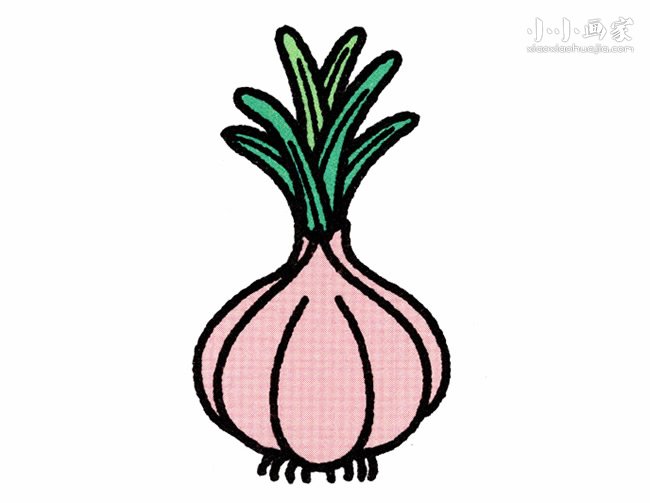 彩色大蒜简笔画画法图片步骤步骤1