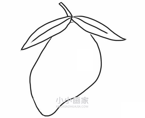 彩色芒果简笔画画法图片步骤步骤6