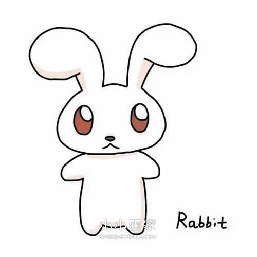 卡通小兔子rabbit简笔画画法图片步骤