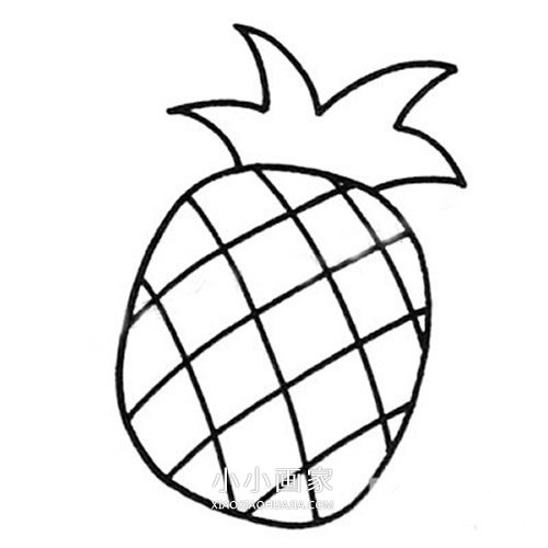 简单菠萝简笔画画法图片步骤步骤4