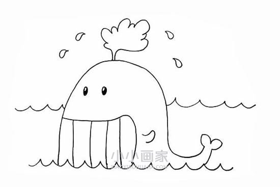 笑嘻嘻的鲸鱼简笔画画法图片步骤步骤7