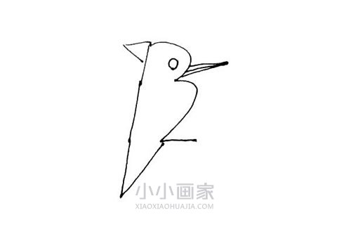 吃虫子啄木鸟简笔画画法图片步骤步骤4