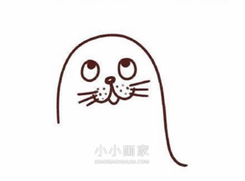 表演杂技的海豹简笔画画法图片步骤步骤3