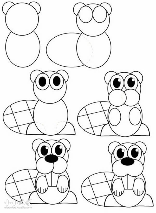 绘本故事小松鼠简笔画画法图片步骤