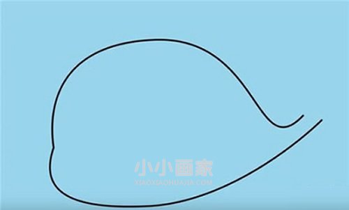 搞笑卡通鲸鱼简笔画画法图片步骤步骤2