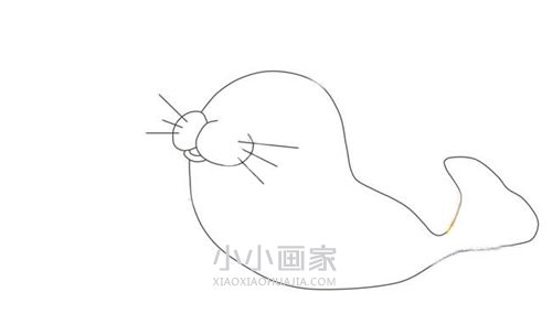 表演杂技海豹简笔画画法图片步骤步骤4