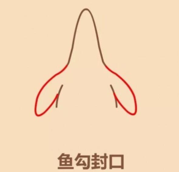 怎么画派大星涂色 简笔画派大星图解步骤步骤1
