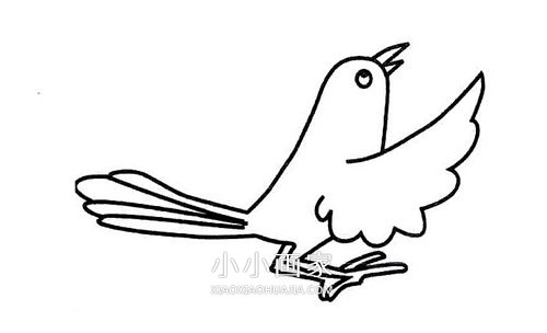 飞翔的喜鹊简笔画画法图片步骤步骤6
